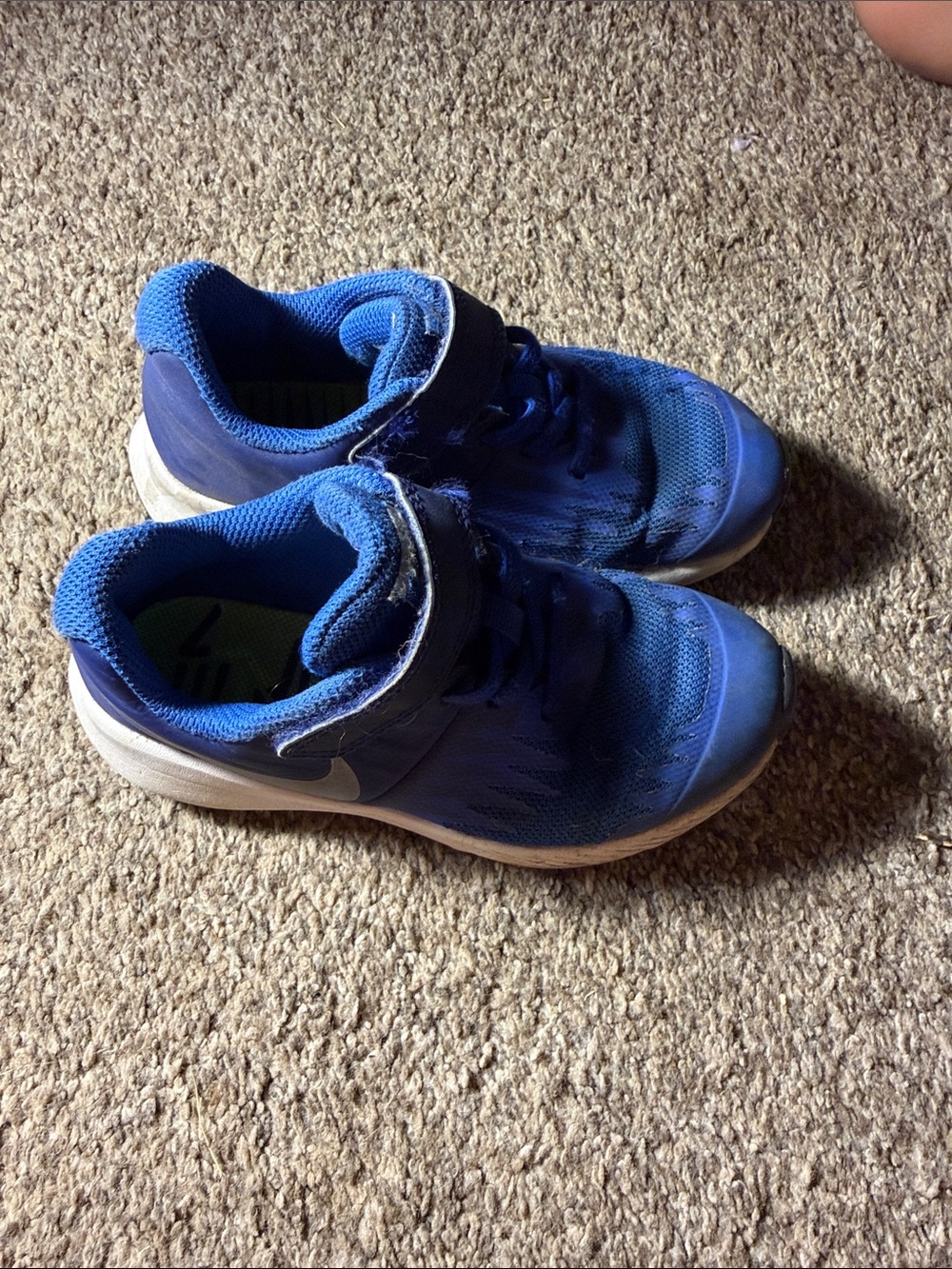 Nike Kids Royal Blue Hook-and-Loop Sneakers